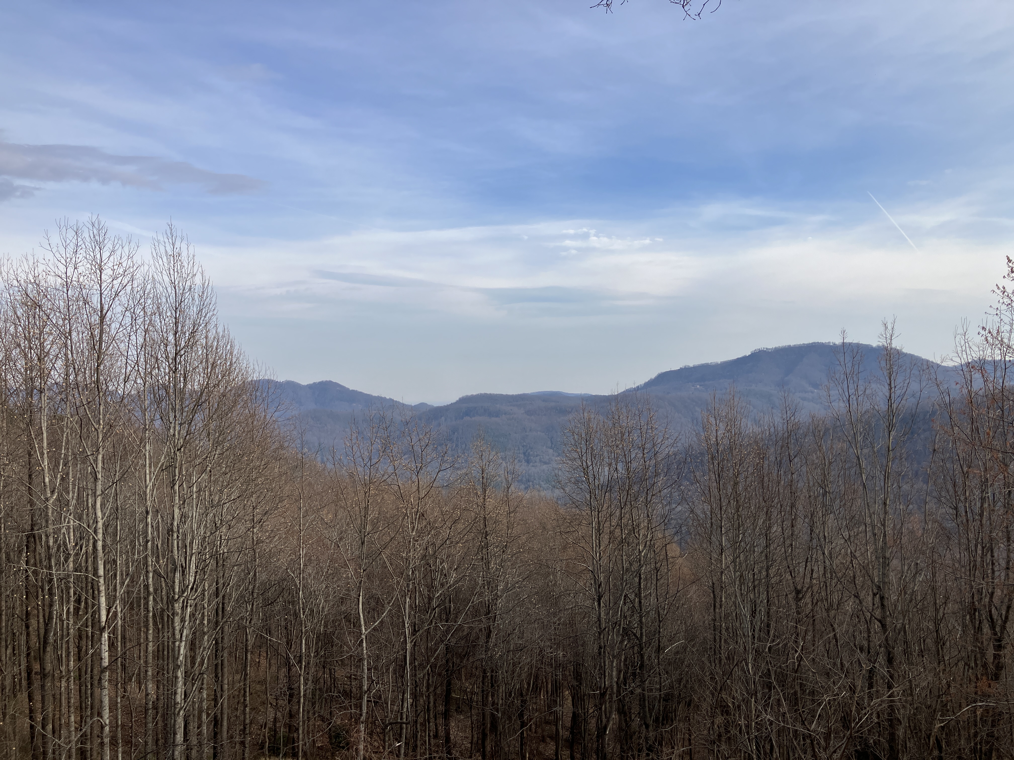 Asheville, NC
