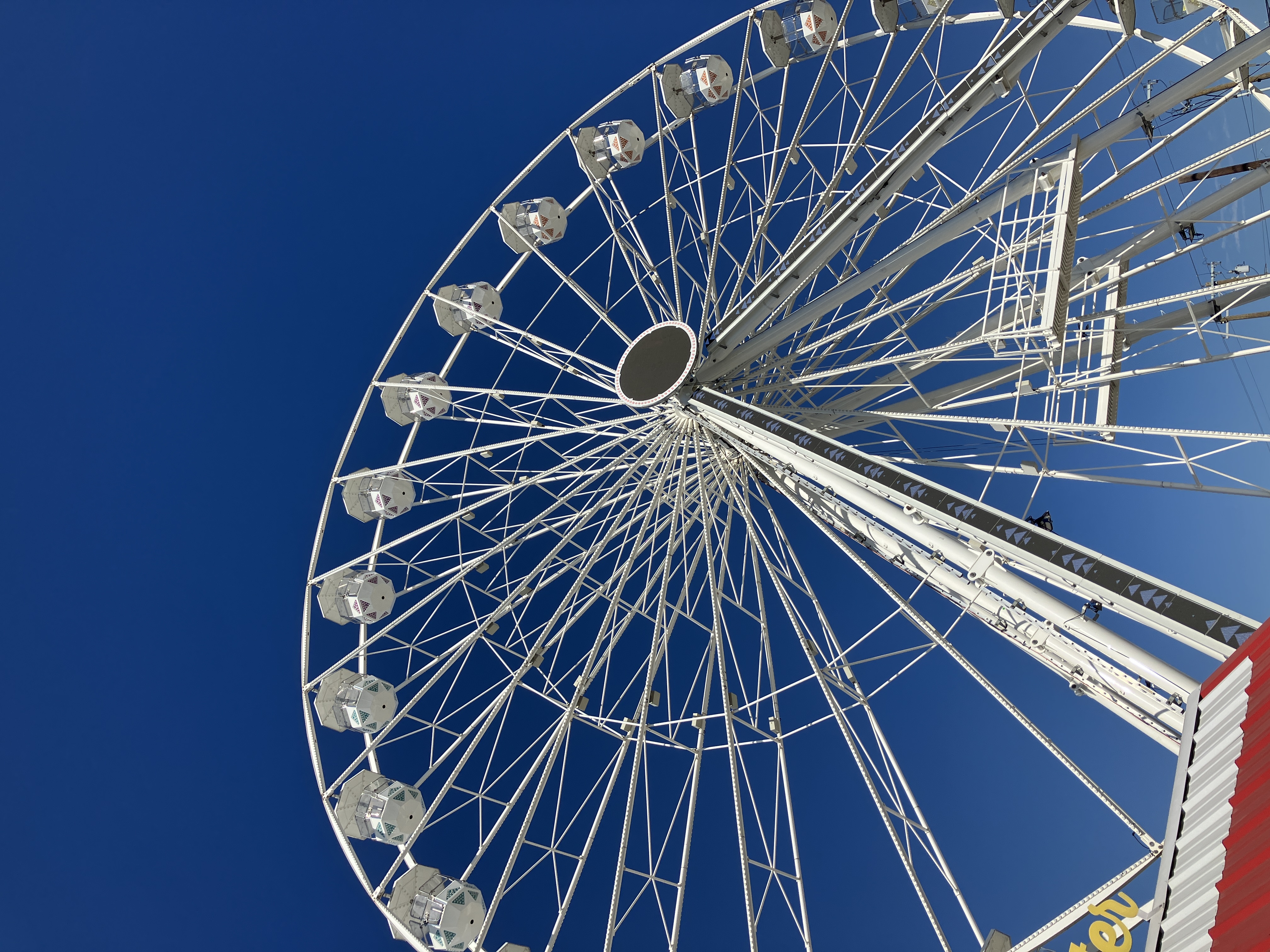 TX State Fair